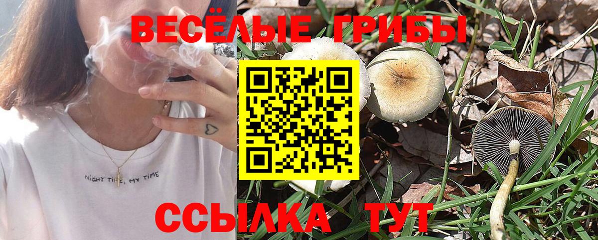 Галлюциногенные грибы Magic Shrooms Чита