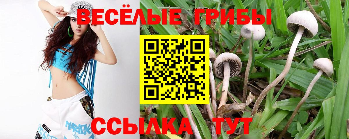 Чита  Галлюциногенные грибы ЛСД  Вход с VPN  Псилоцибиновые грибы Cubensis 